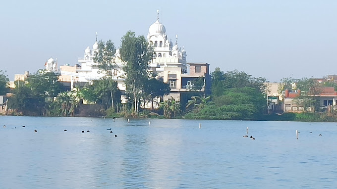 Mote Majra Lake Cleanup-Plantation 3-Mar-24